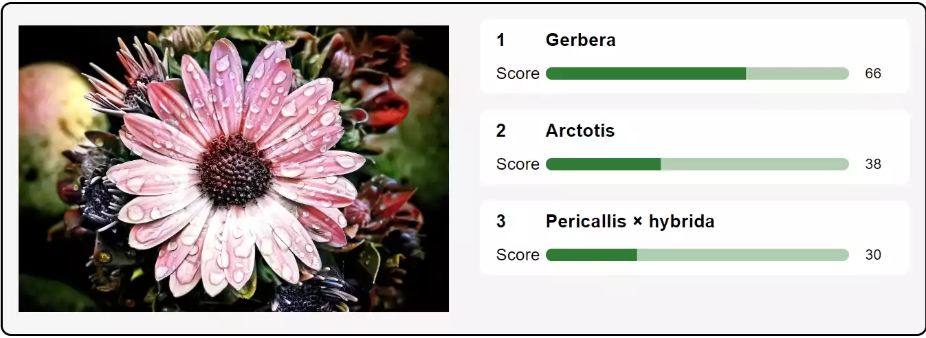 Identifier les plantes par l'IA en ligne - Identifiez les plantes en photo avec l'IA