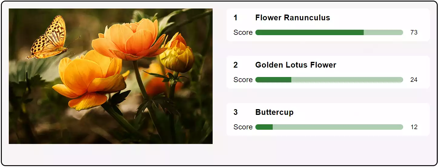 Comment identifier les plantes avec votre téléphone sans utiliser d'application
